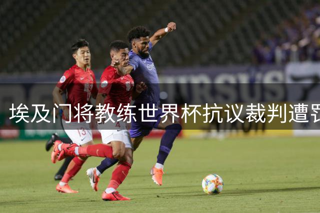 埃及门将教练世界杯抗议裁判遭罚