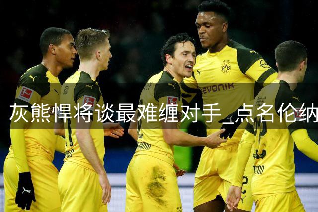 灰熊悍将谈最难缠对手 点名伦纳德与东契奇