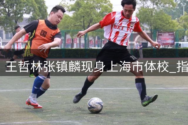 王哲林/张镇麟现身上海市体校 指导队中小球员训练细节